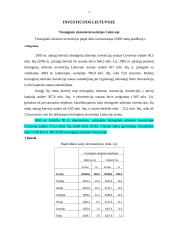 Kas yra investicijos bei užsienio investicijos Lietuvoje 6 puslapis