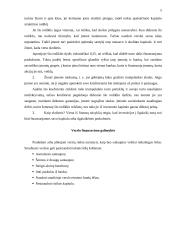 Investicijos. Taupymas ir investicijos 5 puslapis