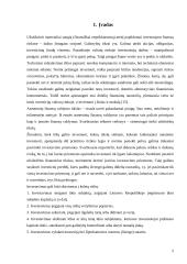 Investicijų rizika 2 puslapis