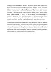 Investicijų rizika 13 puslapis