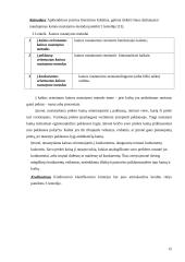 Investicijų rizika 15 puslapis