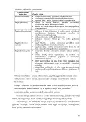 Investicijų rizika 16 puslapis