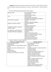 Investicijų rizika 17 puslapis