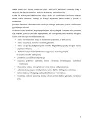 Investicijų rizika 3 puslapis