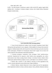 Investicijų rizika 6 puslapis