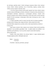 Investicijų rizika 7 puslapis