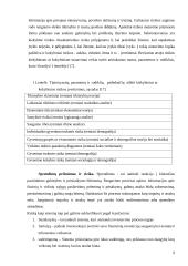 Investicijų rizika 9 puslapis