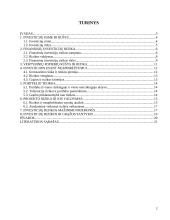 Investicijų rizika ir grąža 2 puslapis