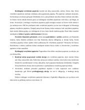 Investicijų rizika ir grąža 11 puslapis