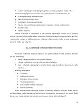 Investicijų rizika ir grąža 16 puslapis