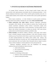 Investicijų rizika ir grąža 17 puslapis