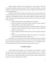 Investicijų rizika ir grąža 7 puslapis