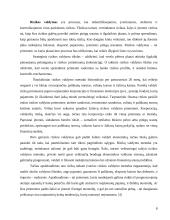 Investicijų rizika ir grąža 8 puslapis