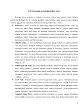 Investicijų rizika ir grąža 9 puslapis