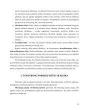 Investicijų rizika ir grąža 10 puslapis