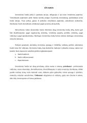 Investicinio fondo samprata, veikla bei fondų klasifikavimas 10 puslapis