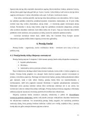 Investicinių bendrovių raida ir perspektyvos Lietuvoje 11 puslapis