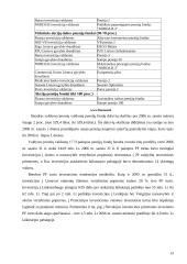 Investicinių bendrovių raida ir perspektyvos Lietuvoje 13 puslapis