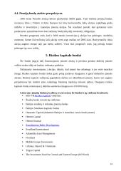 Investicinių bendrovių raida ir perspektyvos Lietuvoje 14 puslapis