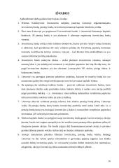 Investicinių bendrovių raida ir perspektyvos Lietuvoje 16 puslapis