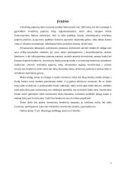 Investicinių bendrovių raida ir perspektyvos Lietuvoje 3 puslapis