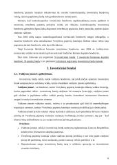Investicinių bendrovių raida ir perspektyvos Lietuvoje 6 puslapis
