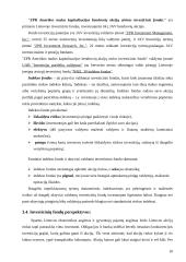 Investicinių bendrovių raida ir perspektyvos Lietuvoje 10 puslapis