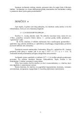 Iracionalieji skaičiai pi ir e 4 puslapis