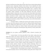 Ispanijos karalystė kaip turizmo objektas 11 puslapis