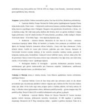 Ispanijos karalystė kaip turizmo objektas 12 puslapis