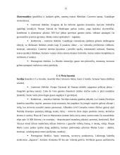 Ispanijos karalystė kaip turizmo objektas 15 puslapis