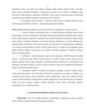 Ispanijos karalystė kaip turizmo objektas 17 puslapis