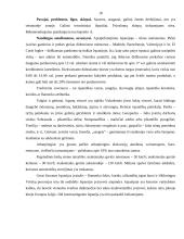 Ispanijos karalystė kaip turizmo objektas 18 puslapis