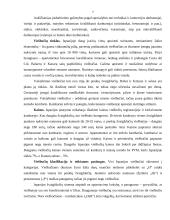 Ispanijos karalystė kaip turizmo objektas 7 puslapis