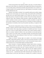 Išorės efektai ir viešosios gėrybės 13 puslapis