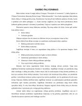 Išorės efektai ir viešosios gėrybės 19 puslapis