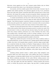 Išorės efektai ir viešosios gėrybės 3 puslapis