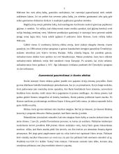 Išorės efektai ir viešosios gėrybės 4 puslapis