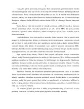 Išorės efektai ir viešosios gėrybės 5 puslapis