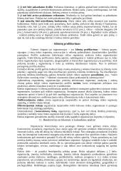 Išorinė aplinka ir išorinės aplinkos analizė 11 puslapis