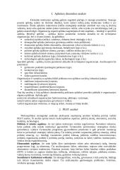Išorinė aplinka ir išorinės aplinkos analizė 3 puslapis