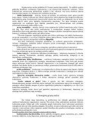 Išorinė aplinka ir išorinės aplinkos analizė 8 puslapis