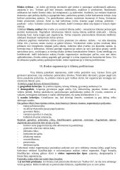 Išorinė aplinka ir išorinės aplinkos analizė 10 puslapis