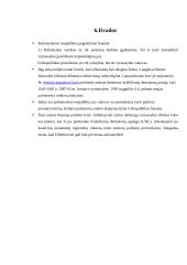 Parlamentinė respublika - Italija 13 puslapis