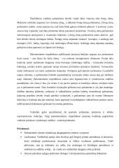 Parlamentinė respublika - Italija 3 puslapis