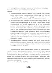 Parlamentinė respublika - Italija 4 puslapis