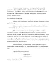 Parlamentinė respublika - Italija 8 puslapis