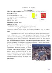 Italijos geografinė, ekonominė, kultūrinė, socialinė padėtis 17 puslapis