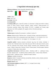 Italijos geografinė, ekonominė, kultūrinė, socialinė padėtis 4 puslapis