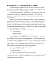 Nemokios įmonės ir bankrotas Lietuvoje šiandien 5 puslapis